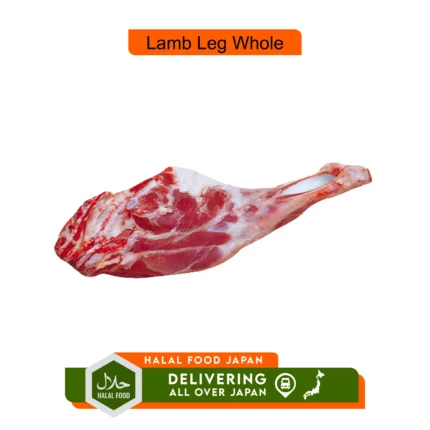 Lamb Leg Whole