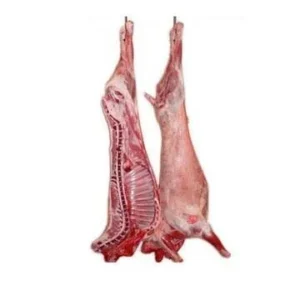 Mutton Bakra Whole (Carcase)